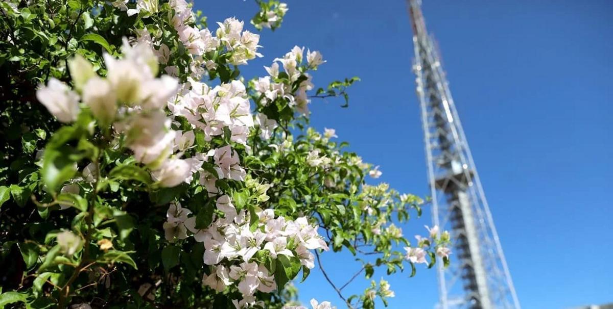Brasília Ambiental abre inscrições para nova conferência sobre parques